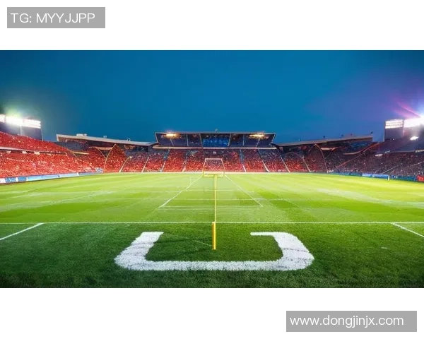 激情四溢的绿茵场上足球运动带给我们的不仅是竞技更是团结与梦想的力量