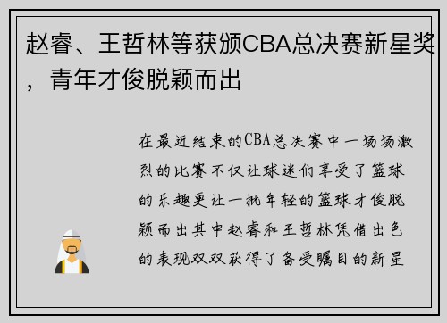 赵睿、王哲林等获颁CBA总决赛新星奖，青年才俊脱颖而出