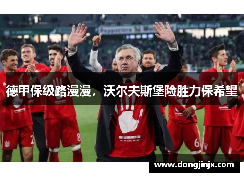 德甲保级路漫漫，沃尔夫斯堡险胜力保希望