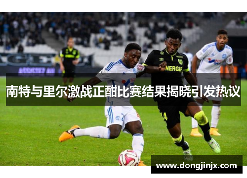 南特与里尔激战正酣比赛结果揭晓引发热议