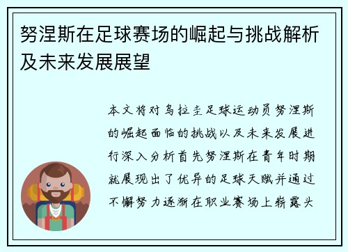 努涅斯在足球赛场的崛起与挑战解析及未来发展展望